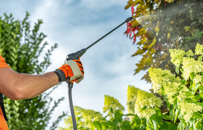 How to Use a Garden Sprayer