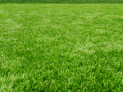 9 Simple Steps for a Greener Lawn