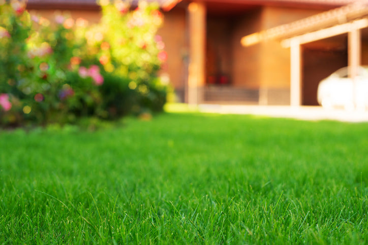 Seasonal Lawn Care and Fertilizer | Rocky Mountain BioAg