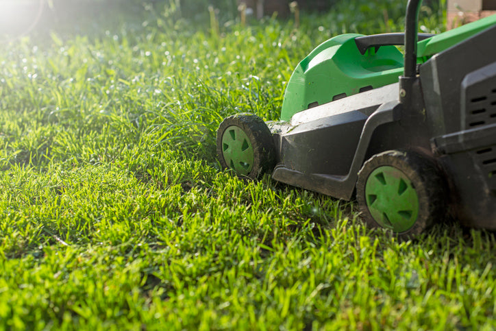 Creating a Landscape Lawn Care Plan | Rocky Mountain BioAg