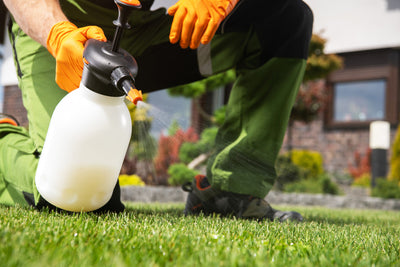 Choosing the Right Pressure Sprayer for Your Lawn and Garden