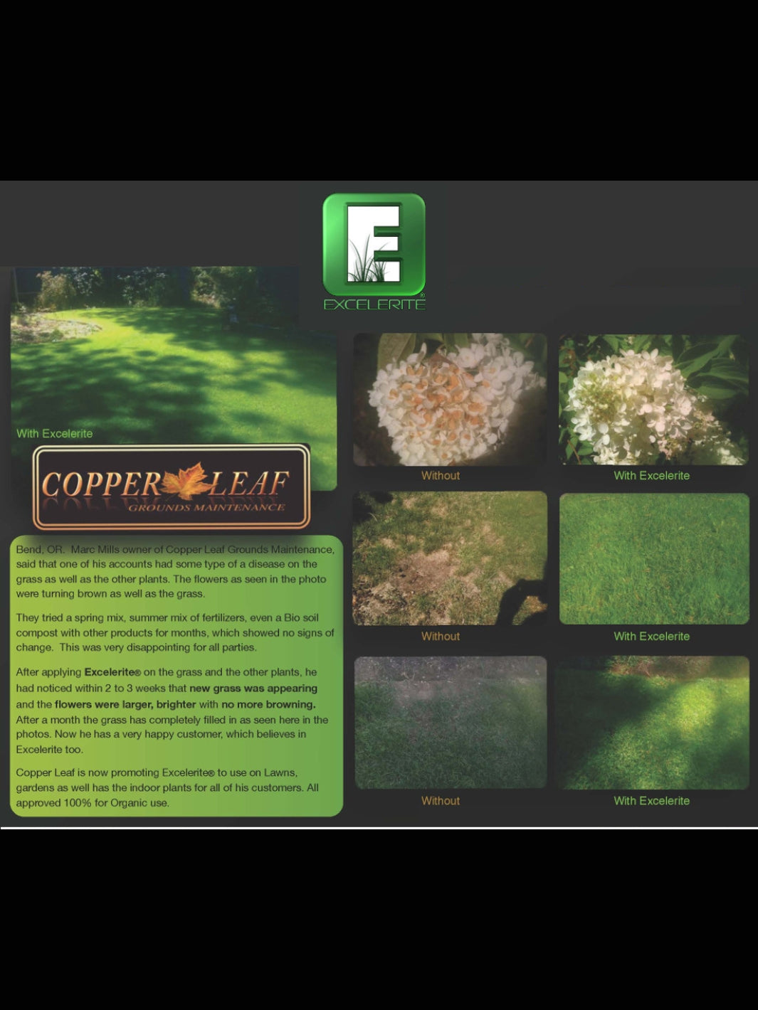 Copper Leaf Oregon Turf Testimonial for Excelerite Clay Montmorillinite