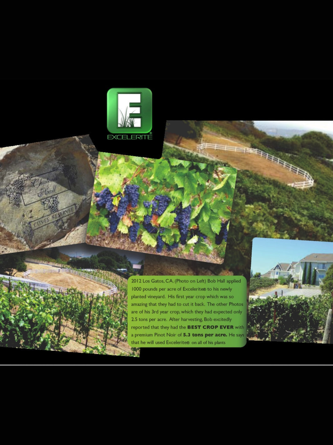 Bob Hall Pinot Noir Los Gatos California Vineyard Testimonial Using Excelerite Montmorillinite Clay